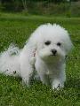 Lexy