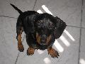 Nomi